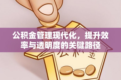 分宜公积金管理现代化，提升效率与透明度的关键路径