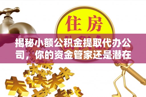 分宜揭秘小额公积金提取代办公司，你的资金管家还是潜在风险？