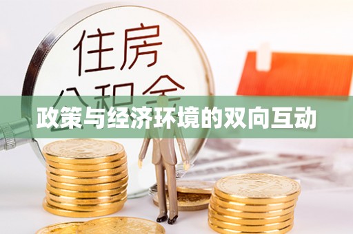 分宜政策与经济环境的双向互动