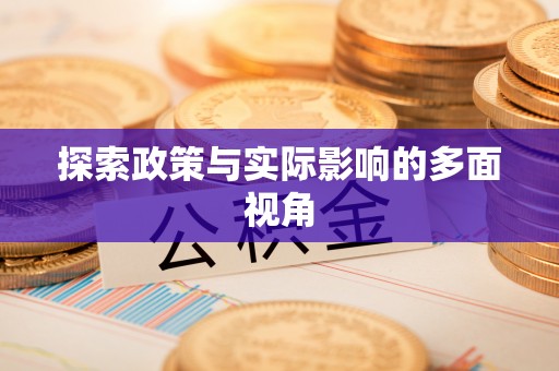 分宜探索政策与实际影响的多面视角