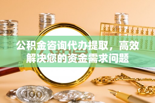 分宜公积金咨询代办提取，高效解决您的资金需求问题