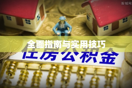 分宜全面指南与实用技巧