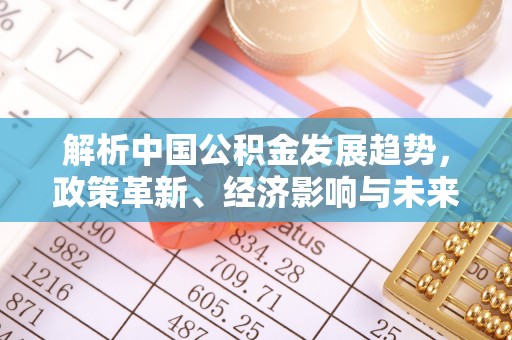分宜解析中国公积金发展趋势，政策革新、经济影响与未来展望