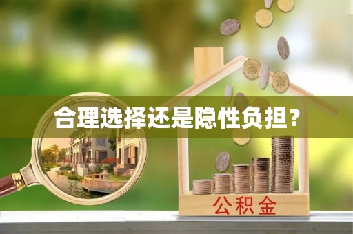 分宜合理选择还是隐性负担？