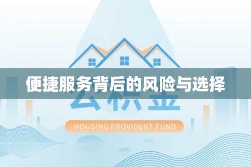 分宜便捷服务背后的风险与选择