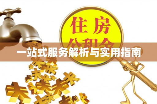 分宜一站式服务解析与实用指南