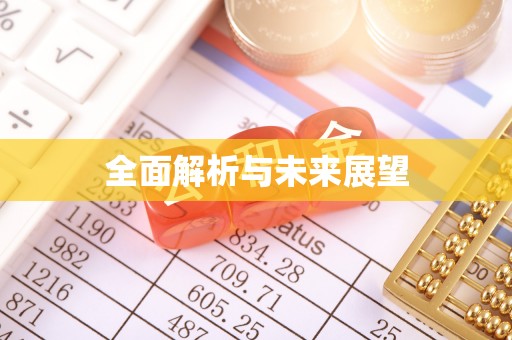 分宜全面解析与未来展望