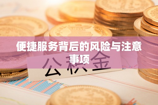 分宜便捷服务背后的风险与注意事项