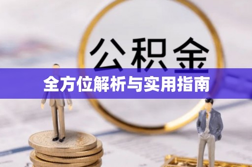 分宜全方位解析与实用指南