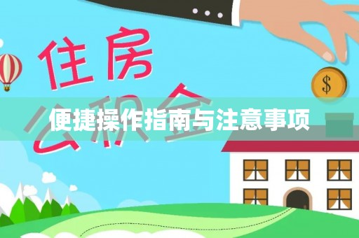 分宜便捷操作指南与注意事项